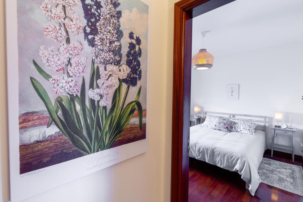 Casa Dos Jacintos - Sao Jacinto, Aveiro Apartment Екстериор снимка