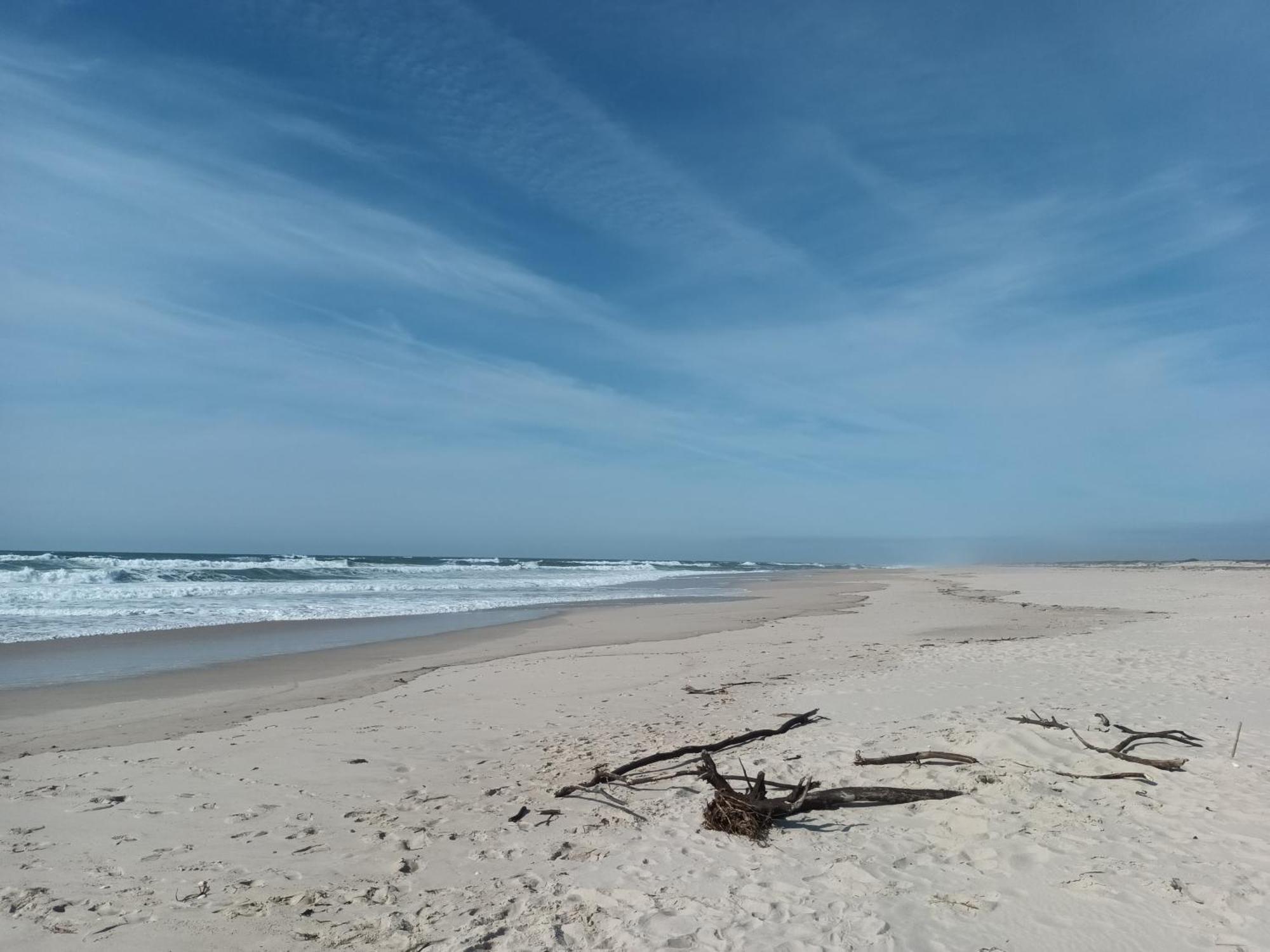 Casa Dos Jacintos - Sao Jacinto, Aveiro Apartment Екстериор снимка